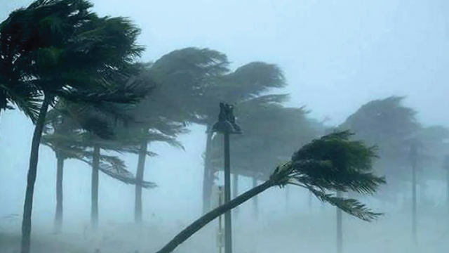 দুপুরের মধ্যে যেসব জেলায় ঝড়বৃষ্টির শঙ্কা