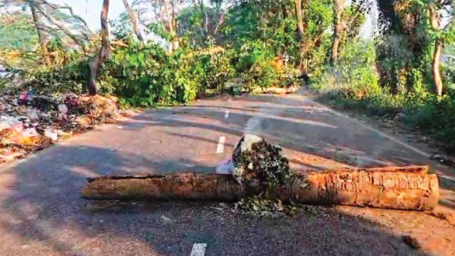 ঢাকা-বরিশাল মহাসড়ক অবরোধ, দক্ষিণাঞ্চল অচল করে দেয়ার হুঁশিয়ারি আ.মী লীগের