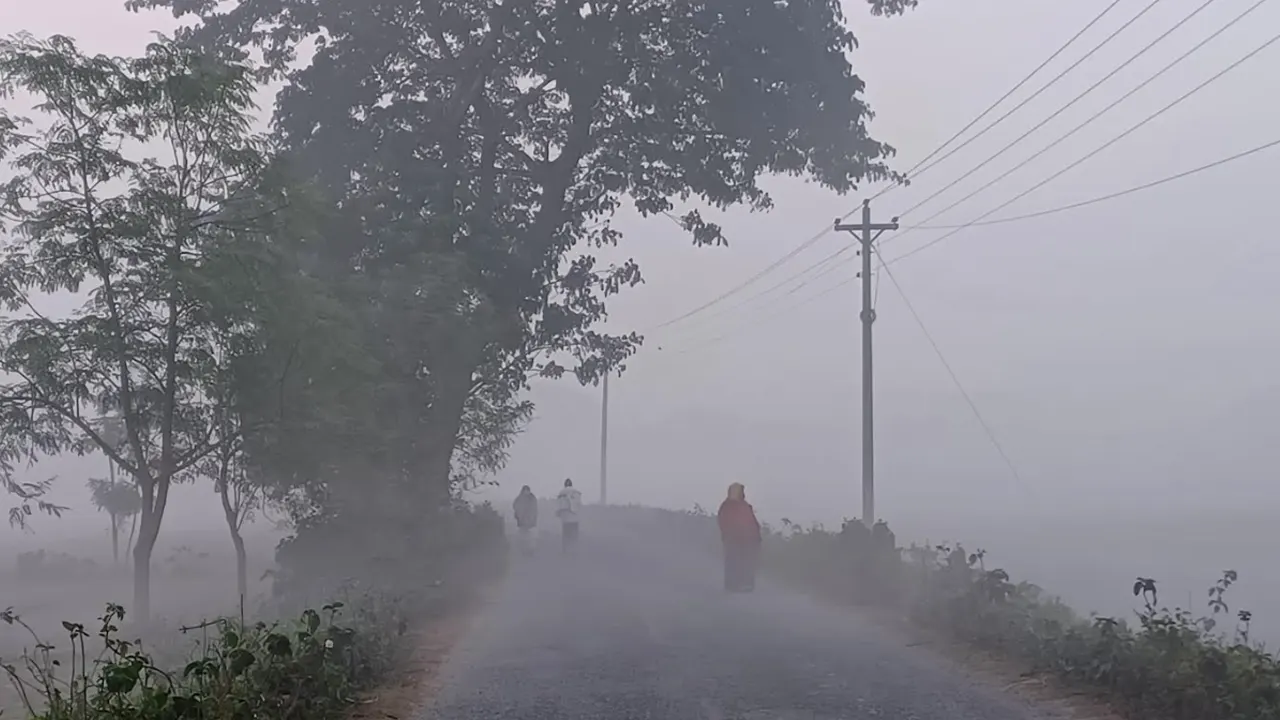 সর্বনিম্ন তাপমাত্রায় কাঁপছে চুয়াডাঙ্গা