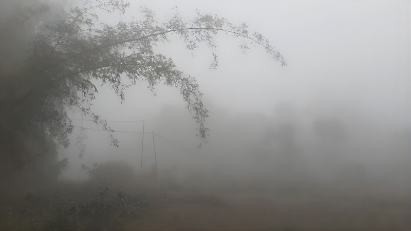 টানা ছয় দিন ৯ ডিগ্রিতে তেঁতুলিয়ায় তাপমাত্রা,বইছে শৈত্যপ্রবাহ