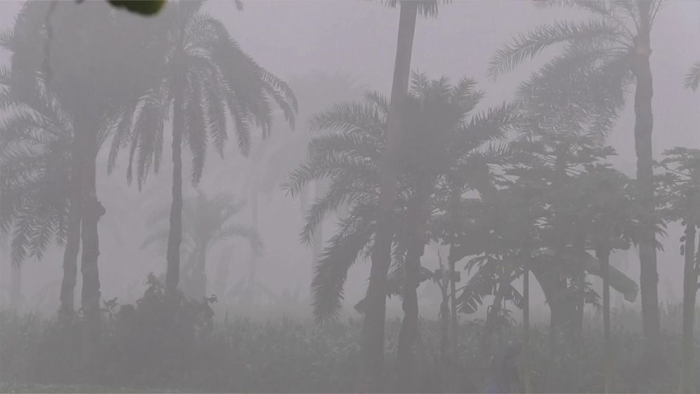 কাল থেকে বাড়বে শীত,তাপমাত্রা নামতে পারে ৪ ডিগ্রিতে